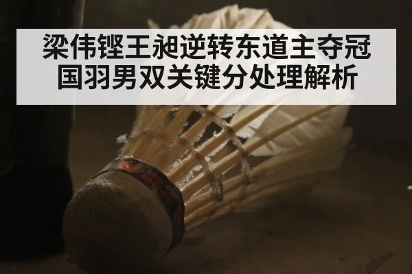梁伟铿王昶逆转东道主夺冠 国羽男双关键分处理解析 | nine game