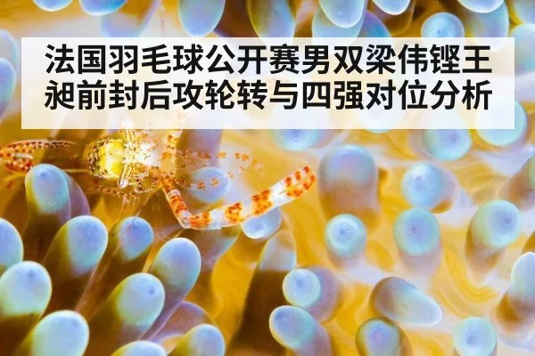 法国羽毛球公开赛男双梁伟铿王昶前封后攻轮转与四强对位分析（jiuyou game）